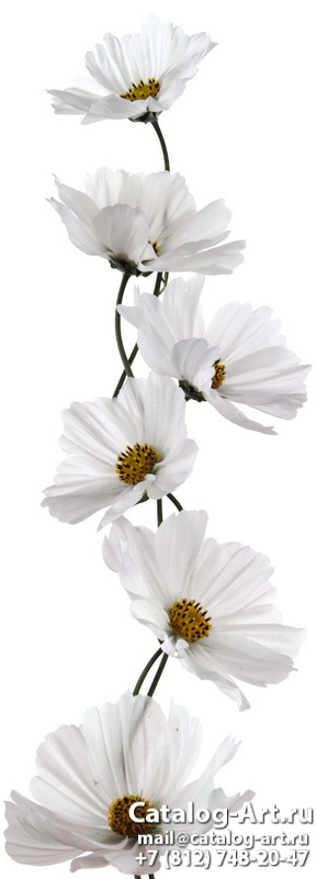 Натяжные потолки с фотопечатью - Белые цветы 9